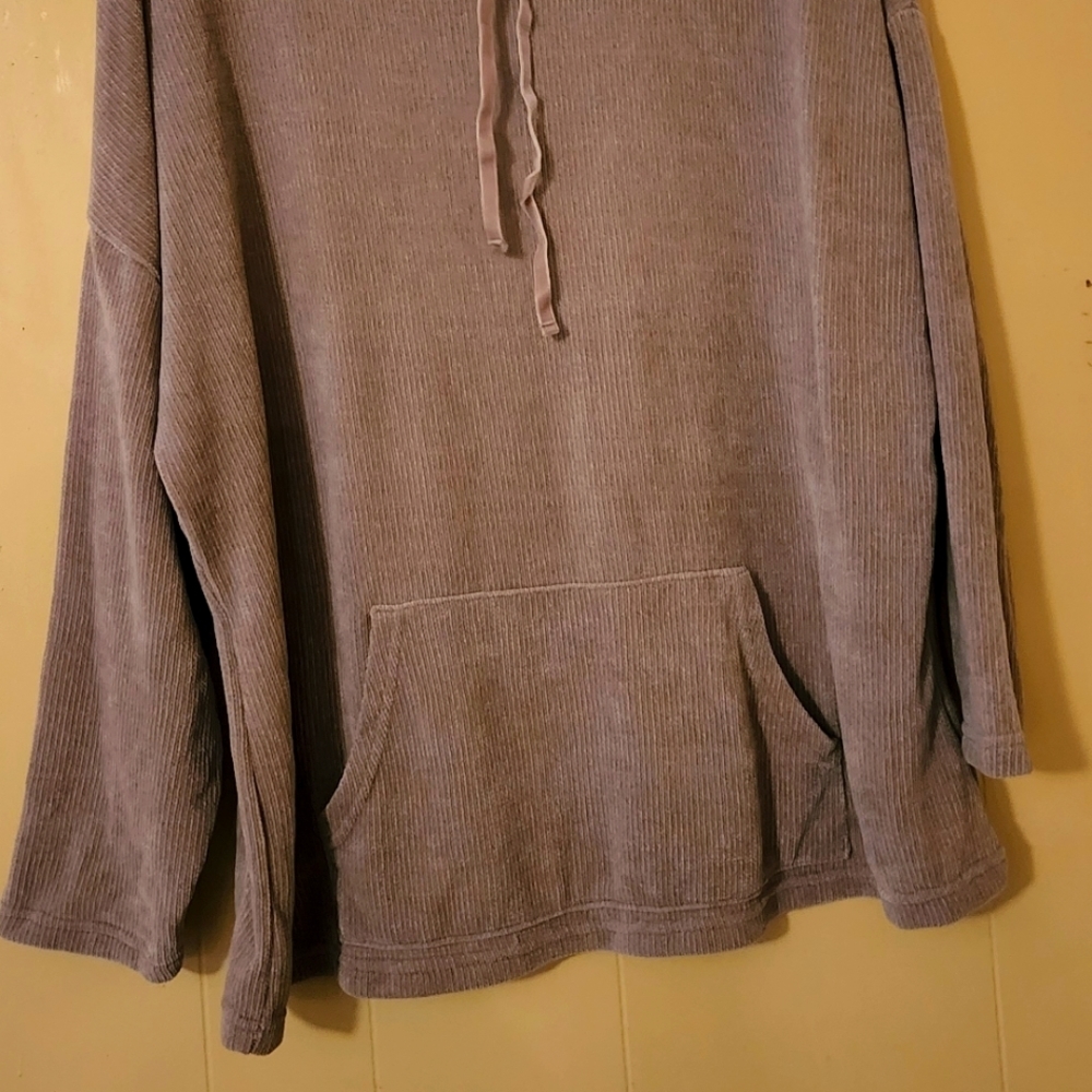 Spring + Mercer XL, Tan sweater.